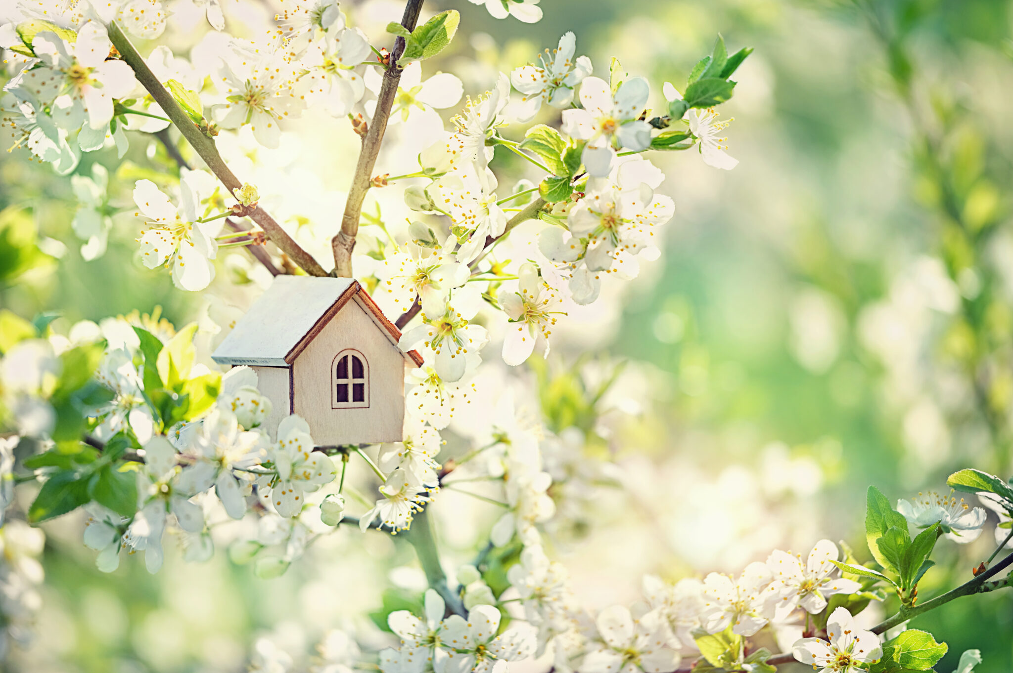 Toy,House,And,Cherry,Flowers.,Spring,Natural,Background.,Concept,Of